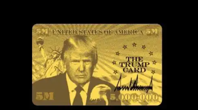 “特朗普金卡网站”截图
