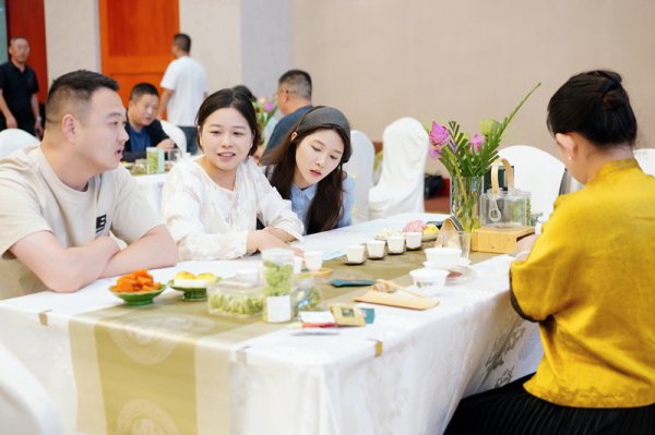 牛人配资 湖州: 安吉白茶绽芬芳 南茶北进开新篇