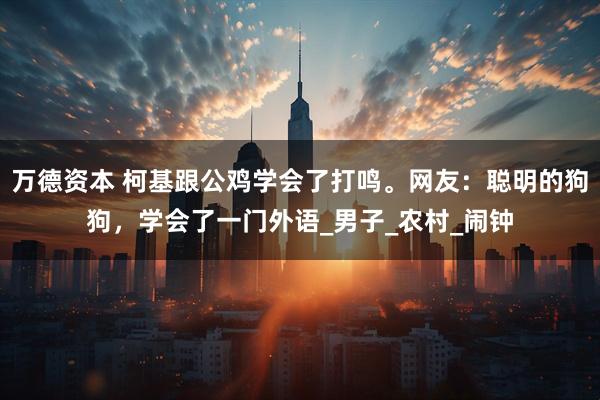 万德资本 柯基跟公鸡学会了打鸣。网友：聪明的狗狗，学会了一门外语_男子_农村_闹钟
