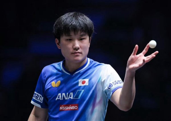 三叶草策略 张本智和：我想打进中国大满贯决赛，也期待与王楚钦再次交手